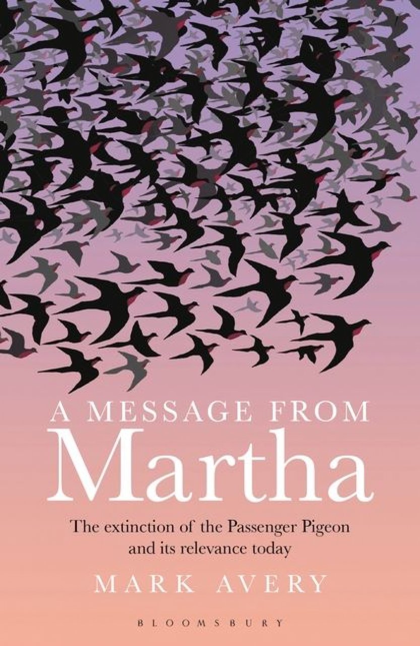 A MESSAGE FROM MARTHA. THE EXTINCTION OF THE PASSENGER PIGEON AND WHY IT STILL MATTERS
