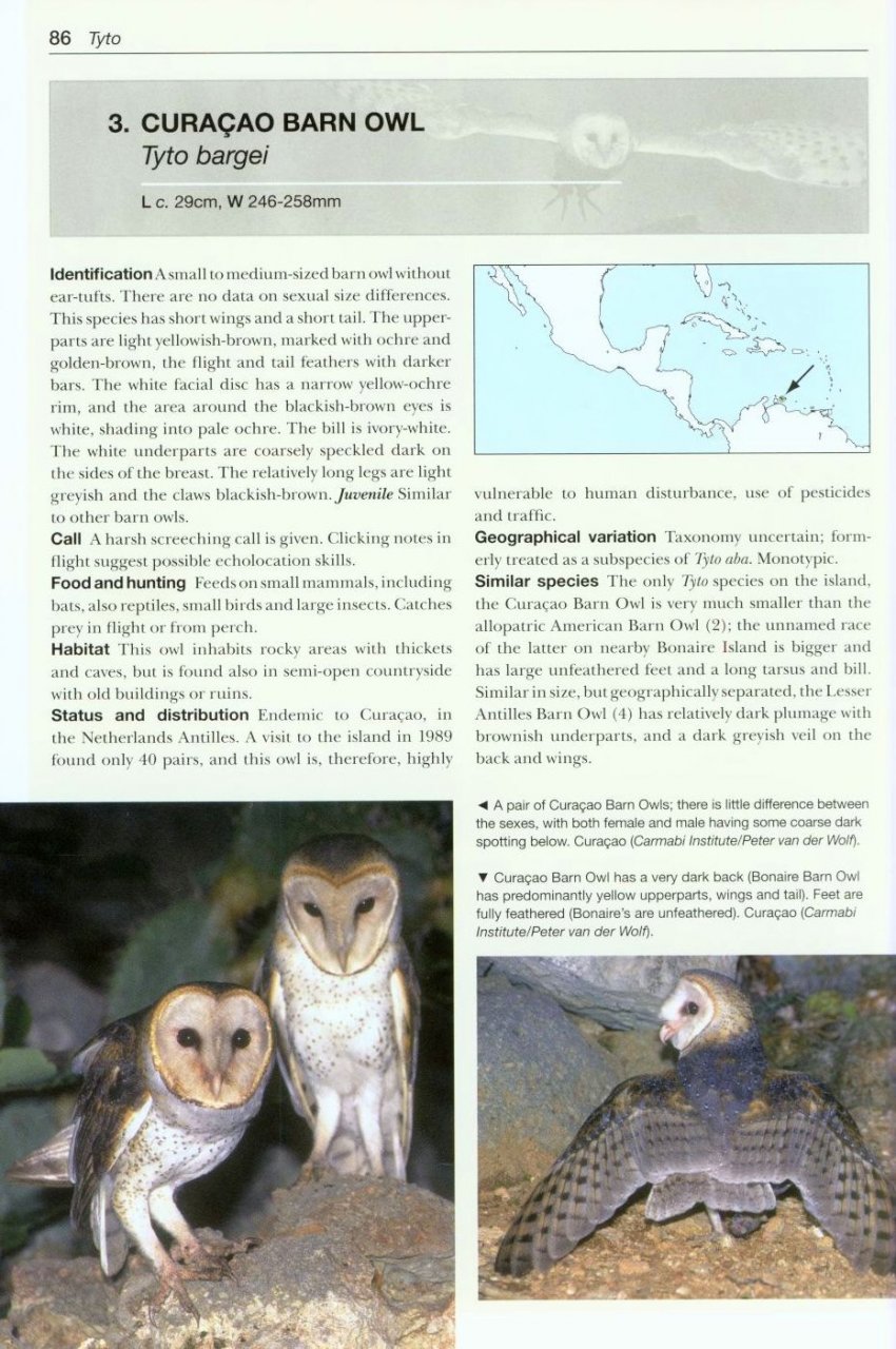 OWLS OF THE WORLD. A PHOTOGRAPHIC GUIDE 2