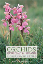 ORCHIDS OF BRITAIN AND IRELAND. A FIELD AND SITE GUIDE 1