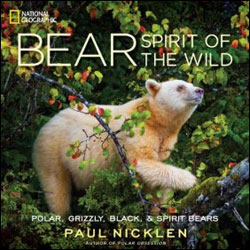 BEAR SPIRIT OF THE WILD 1