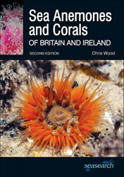 SEA ANEMONES AND CORALS OF BRITAIN AND IRELAND 1