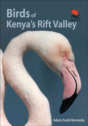 BIRDS OF KENYA'S RIFT VALLEY 1