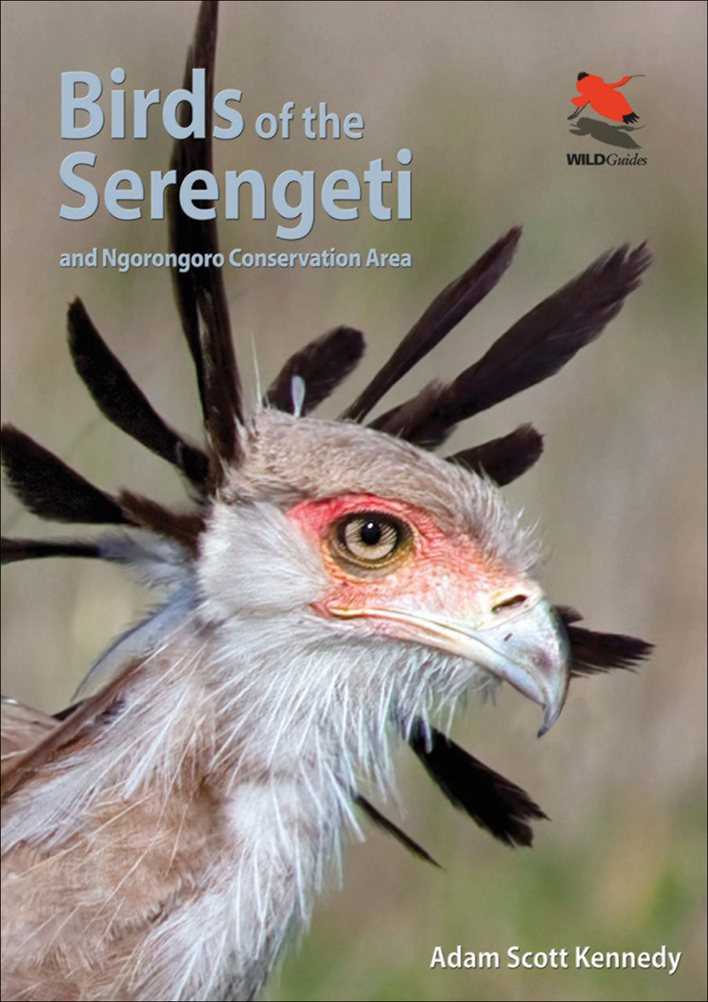 BIRDS OF THE SERENGETI AND NGORONGORO CONSERVATION AREA
