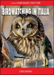 BIRDWATCHING IN ITALIA 1