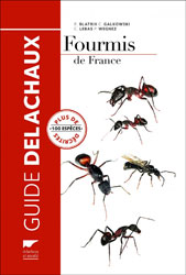 FOURMIS DE FRANCE. PLUS DE 100 ESPÈCES DÉCRITES 2