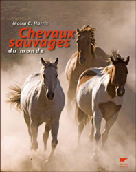 CHEVAUX SAVAGES DU MONDE 1
