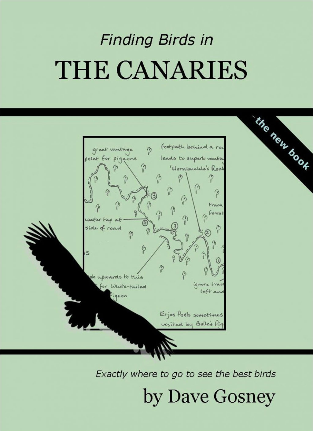 FINDING BIRDS IN THE CANARIES