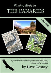 DVD FINDING BIRDS IN THE CANARIES 1