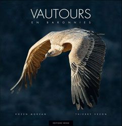 VAUTOURS EN BARONNIES 1