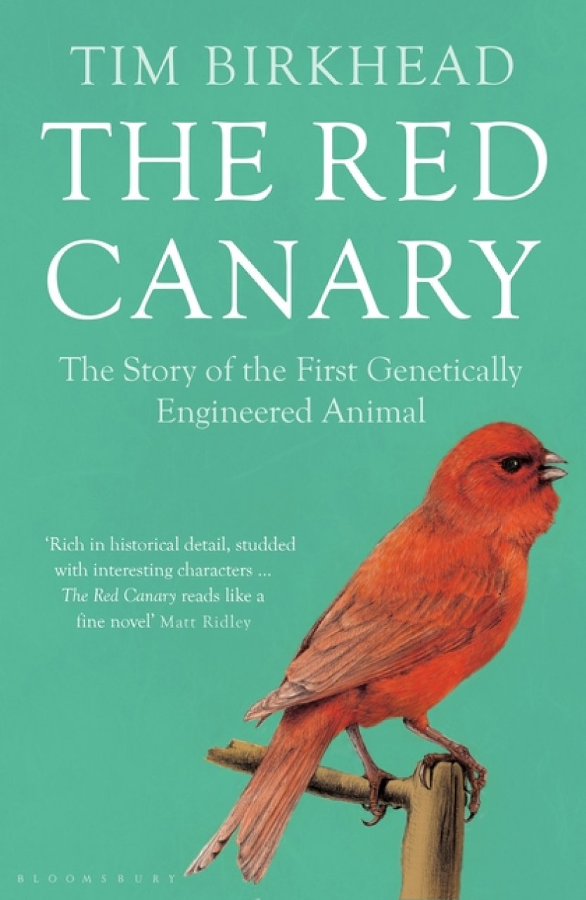 THE RED CANARY. THE STORY OF THE FIRST GENETICALLY ENGINEERED ANIMAL