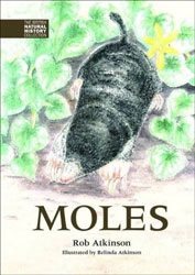 THE BRITISH NATURAL HISTORY COLLECTION. MOLES 1
