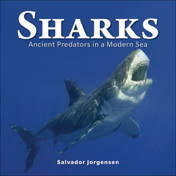 SHARKS. ANCIENT PREDATORS IN A MODERN SEA 1