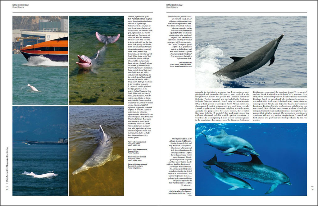HANDBOOK OF THE MAMMALS OF THE WORLD. VOL. 4 SEA MAMMALS 2
