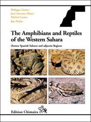 THE AMPHIBIANS AND REPTILES OF THE WESTERN SAHARA 1