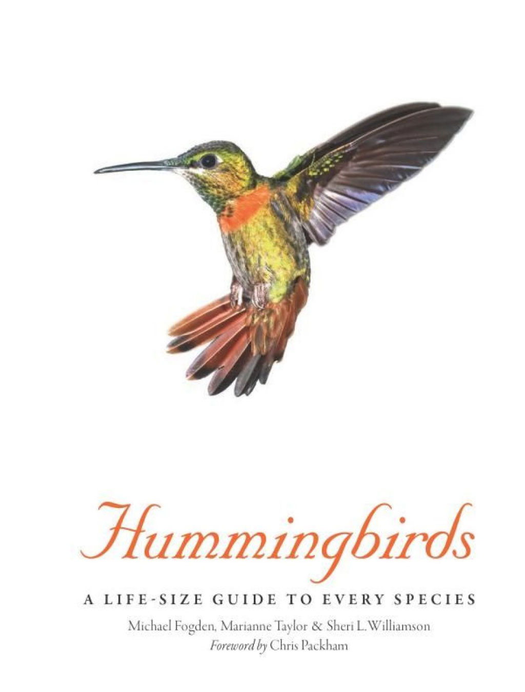 HUMMINGBIRDS. A LIFE-SIZE GUIDE TO EVERY SPECIES