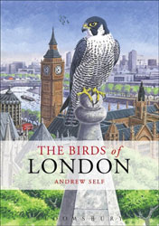 BIRDS OF LONDON 1