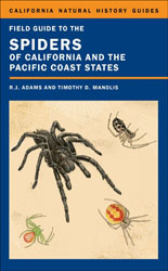 FIELD GUIDE TO THE SPIDERS OF CALIFORNIA AND THE PACIFIC COAST STATES 1