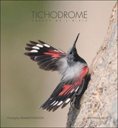 TICHODROME. FOLLET DE L'À-PIC 1