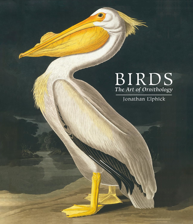 BIRDS. THE ART OF ORNITHOLOGY