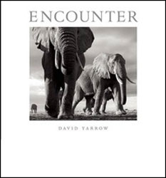 ENCOUNTER 1