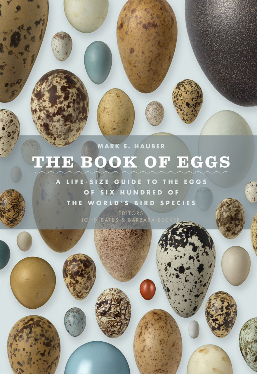 THE BOOK OF EGGS. A LIFE-SIZE GUIDE TO THE EGGS OF SIX HUNDRED OF THE WORLD'S BIRD SPECIES