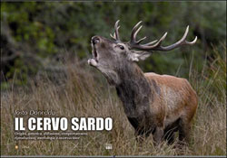 IL CERVO SARDO. ORIGINI, GENETICA, DIFFUSIONE, COMPORTAMENTO, RIPRODUZIONE, MORFOLOGIA E OSSERVAZIONE 1