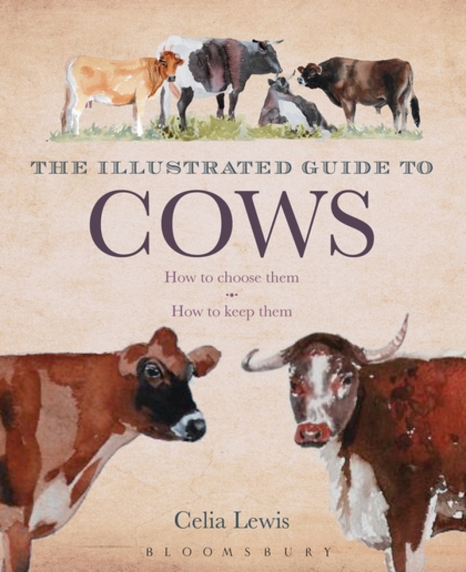 THE ILLUSTRATED GUIDE TO COWS: HOW TO CHOOSE THEM, HOW TO KEEP THEM 1