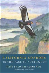 CALIFORNIA CONDORS IN THE PACIFIC NORTHWEST 1
