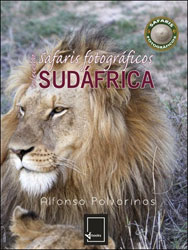 SAFARIS FOTOGRÁFICOS. SUDÁFRICA 1