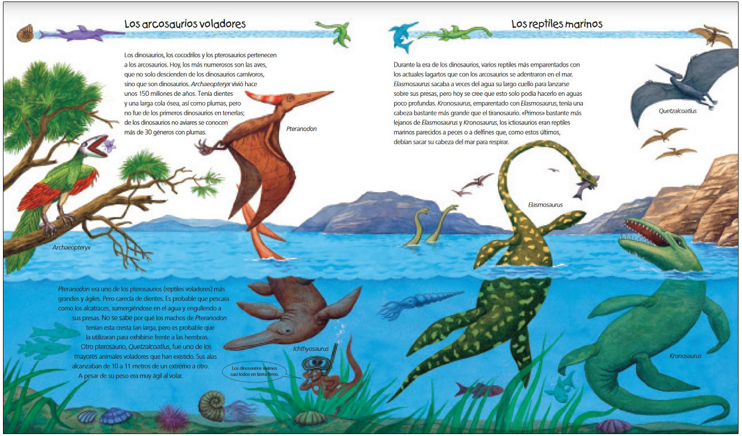 TODO SOBRE LOS DINOSAURIOS 3