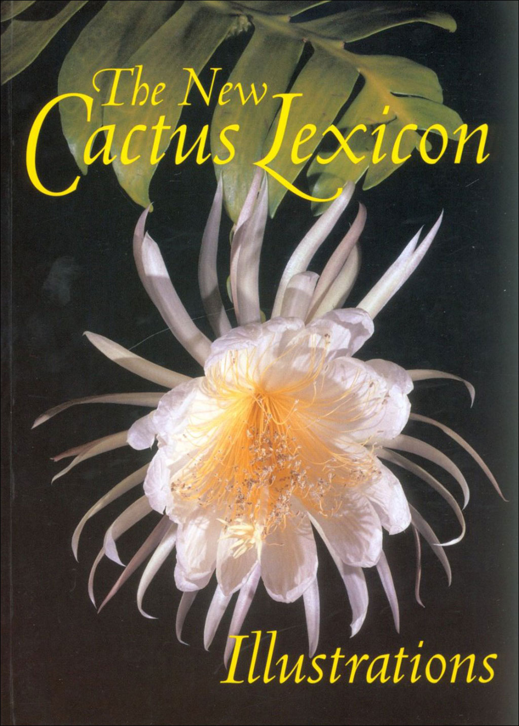 THE NEW CACTUS LEXICON ILLUSTRATIONS. 2ND ED.