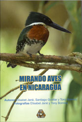 MIRANDO AVES EN NICARAGUA 1