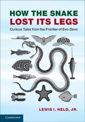 HOW THE SNAKE LOST ITS LEGS 1