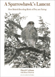A SPARROWHAWK'S LAMENT 1