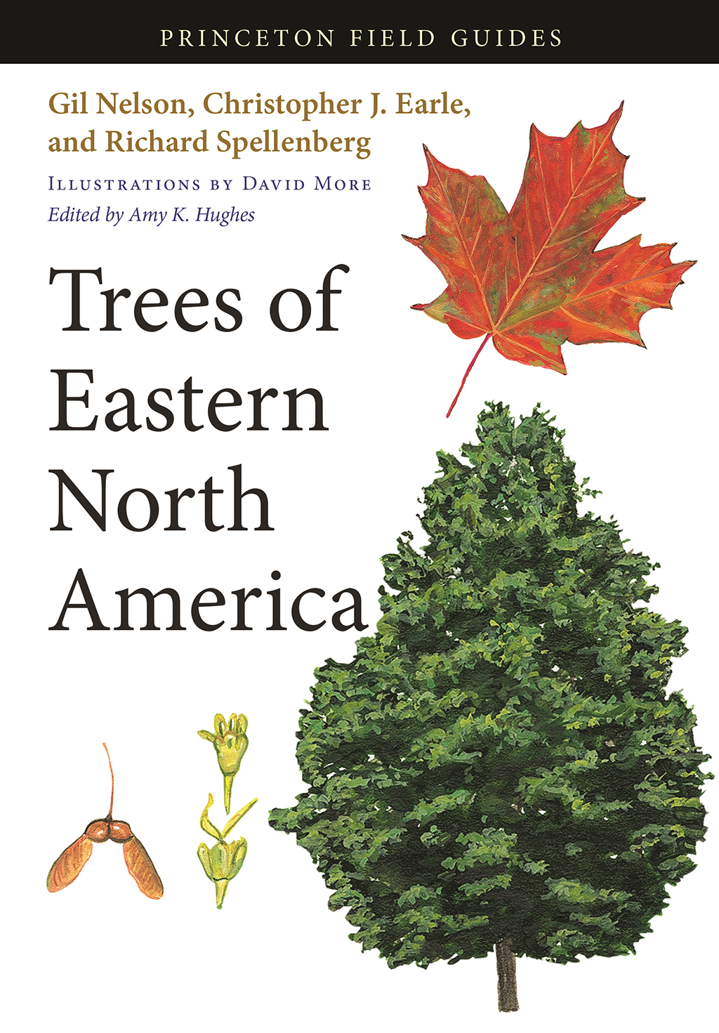 TREES OF EASTERN NORTH AMERICA
