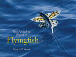 THE AMAZING WORLD OF FLYINGFISH 1