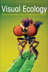 VISUAL ECOLOGY 1