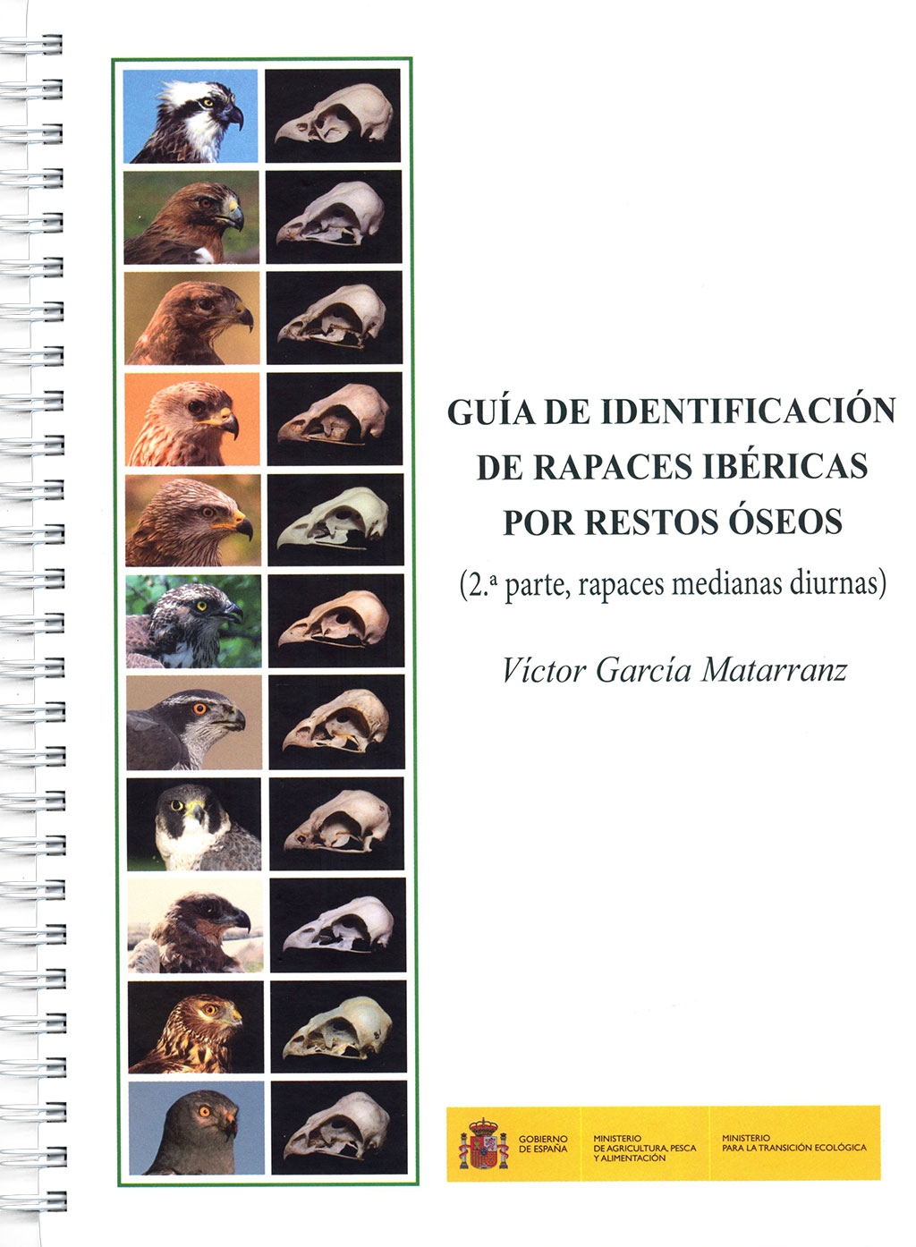 GUÍA DE IDENTIFICACIÓN DE RAPACES IBÉRICAS POR RESTOS ÓSEOS. (2ª PARTE, RAPACES MEDIANAS DIURNAS) 1