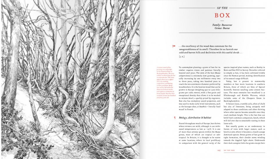 THE NEW SYLVA. A DISCOURSE OF FOREST AND ORCHARD TREES FOR THE TWENTY-FIRST CENTURY 3