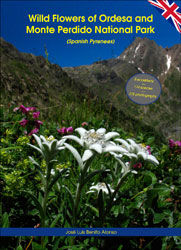 WILD FLOWERS OF ORDESA AND MONTE PERDIDO NATIONAL PARK (SPANISH PYRENEES) 1