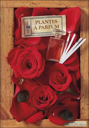 PLANTES À PARFUM 1