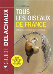 GUIDE DELACHAUX. TOUS LES OISEAUX DE FRANCE 1