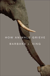 HOW ANIMALS GRIEVE 1