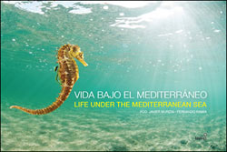VIDA BAJO EL MEDITERRÁNEO. LIFE UNDER THE MEDITERRANEAN SEA 1