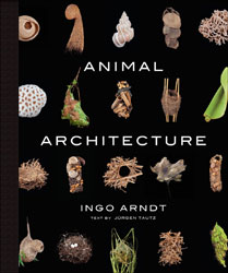 ANIMAL ARCHITECTURE 1