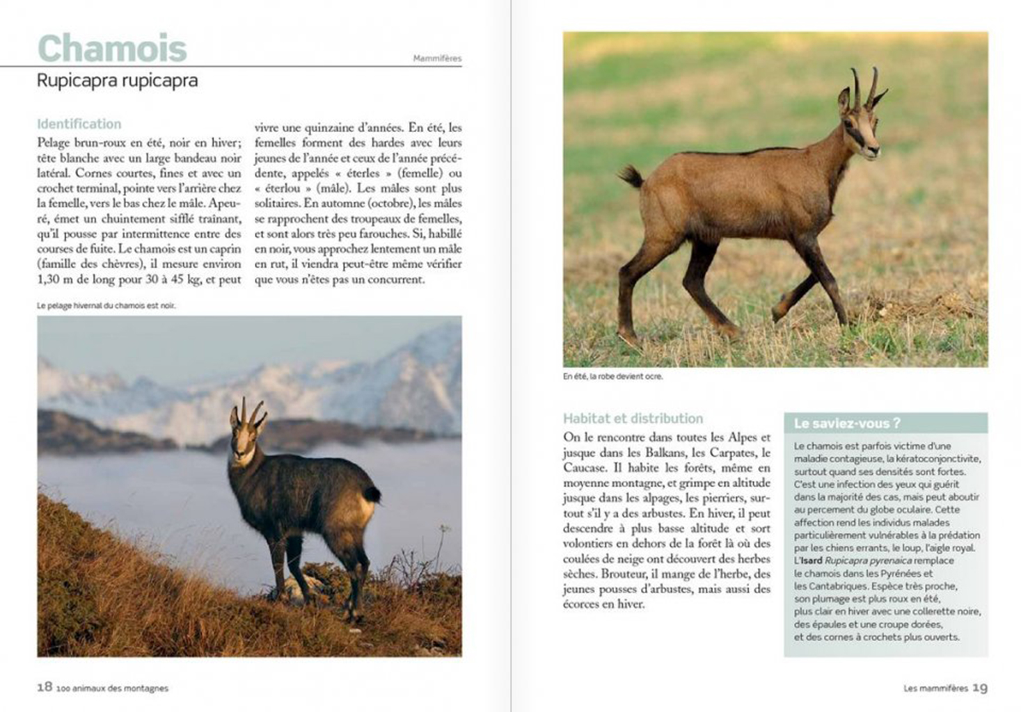 100 ANIMAUX DES MONTAGNES 4