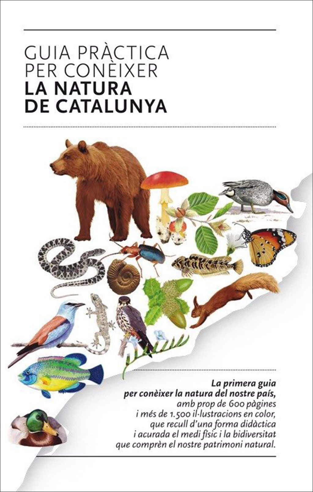 GUIA PRÀCTICA PER A CONÈIXER LA NATURA DE CATALUNYA          1