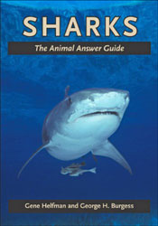 SHARKS. THE ANIMAL ANSWER GUIDE 1