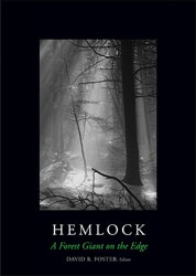 HEMLOCK. A FOREST GIANT ON THE EDGE 1