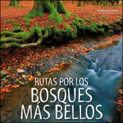 RUTAS POR LOS BOSQUES MÁS BELLOS 1